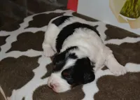 processed/70319982-e553-42d0-8a05-584423c5db3e/listing/d7b5ef60-740d-4d3b-8864-0255f6c7652e/53e919e8-80e6-4ab0-80c1-532ba5b6a6da