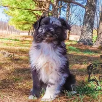 processed/7031d088-22d1-48cd-8e31-e9909ea4568e/facility/56c45139-4783-43c3-89e1-02829e130473