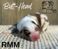 processed/7031d088-22d1-48cd-8e31-e9909ea4568e/listing/0d9af0aa-4f30-4528-a8f2-533a633ae4f8/ad7aa0a8-d8e1-44ea-aa02-1a24dc074e7d