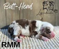 processed/7031d088-22d1-48cd-8e31-e9909ea4568e/listing/0d9af0aa-4f30-4528-a8f2-533a633ae4f8/e24eef71-bfdf-48cd-a28e-2d9d6f11c06f