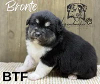 processed/7031d088-22d1-48cd-8e31-e9909ea4568e/listing/21949b4e-c091-4ae9-8e97-7d419549ed54/2d55a613-cde6-446f-baa1-b331e8057bb6