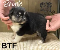 processed/7031d088-22d1-48cd-8e31-e9909ea4568e/listing/21949b4e-c091-4ae9-8e97-7d419549ed54/5db23359-d06a-4052-bd08-f269402ef499