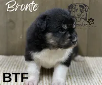 processed/7031d088-22d1-48cd-8e31-e9909ea4568e/listing/21949b4e-c091-4ae9-8e97-7d419549ed54/cb9959e6-2c26-4368-ad96-96e447575cbc