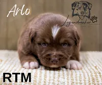 processed/7031d088-22d1-48cd-8e31-e9909ea4568e/listing/246cbf57-9f15-4136-8b84-1e02caba646e/64844f47-dcea-48ad-9e80-f09125ae9b14