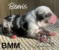 processed/7031d088-22d1-48cd-8e31-e9909ea4568e/listing/3710a9d3-7376-438b-81a4-6477bc41f1ae/47f06b81-dc7e-4a97-9411-aa889c7ea246