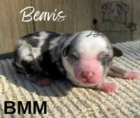 processed/7031d088-22d1-48cd-8e31-e9909ea4568e/listing/3710a9d3-7376-438b-81a4-6477bc41f1ae/ac70aba7-b9ce-4918-9e57-f9656c1ae85b