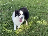 processed/7031d088-22d1-48cd-8e31-e9909ea4568e/listing/7fa5f37f-8b5f-45b4-9e26-25167a1f3d0b/aa973b78-4b85-4b93-aae6-e00baa168656