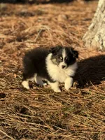 processed/7031d088-22d1-48cd-8e31-e9909ea4568e/listing/7fa5f37f-8b5f-45b4-9e26-25167a1f3d0b/b9cb45cb-6d8a-40c9-becc-760da234c8a8