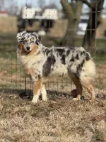 processed/7031d088-22d1-48cd-8e31-e9909ea4568e/listing/94c4d049-865e-4ef2-baf5-52a3b1ed05e0/9e01893d-2f55-4b47-9951-71a89d2aca86