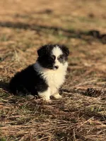 processed/7031d088-22d1-48cd-8e31-e9909ea4568e/listing/a47c1af1-ea02-487f-9244-90ae90d7612c/1d233559-2f9e-4d61-a931-d6001e55df26