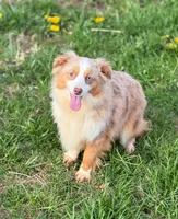 processed/7031d088-22d1-48cd-8e31-e9909ea4568e/listing/a47c1af1-ea02-487f-9244-90ae90d7612c/3e59c196-623b-417e-8c7c-34b3520db577