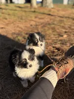 processed/7031d088-22d1-48cd-8e31-e9909ea4568e/listing/a47c1af1-ea02-487f-9244-90ae90d7612c/7922186c-2cdf-4b21-a9a0-04cb76c551db