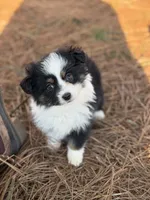 processed/7031d088-22d1-48cd-8e31-e9909ea4568e/listing/a47c1af1-ea02-487f-9244-90ae90d7612c/8ec6b127-eb12-4b81-add1-439e097e0195