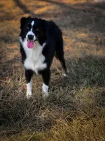 processed/7031d088-22d1-48cd-8e31-e9909ea4568e/listing/fc804ba0-2ea2-4444-9517-e46005a5cf8c/34581315-c731-4f0a-85e0-1e70ea7f15b0