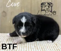 processed/7031d088-22d1-48cd-8e31-e9909ea4568e/listing/fc804ba0-2ea2-4444-9517-e46005a5cf8c/736a032f-6969-4c25-85f5-9f1a2c7c8148