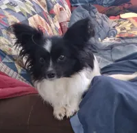 processed/70337db9-2b77-423d-8140-d79c1c7f38da/facility/17d89714-2504-4ce5-8d52-194023cd95b5