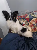 processed/70337db9-2b77-423d-8140-d79c1c7f38da/facility/1eb3b2d8-3b90-44f2-95cb-fef637ad57af