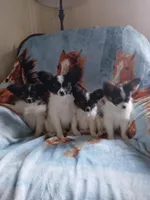 processed/70337db9-2b77-423d-8140-d79c1c7f38da/facility/44bf4d8b-c773-4b91-b2f8-6d3ba2481840