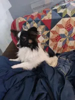 processed/70337db9-2b77-423d-8140-d79c1c7f38da/facility/b0cabd48-b36d-4044-ba03-46f85a4d9d33