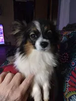 processed/70337db9-2b77-423d-8140-d79c1c7f38da/facility/c8ae0e0e-2bcf-4a6b-adcd-156ea43adc81