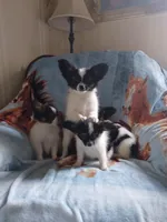 processed/70337db9-2b77-423d-8140-d79c1c7f38da/facility/cbbe4e3c-9bce-4a44-9ec5-2e71b9268f10