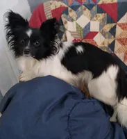 processed/70337db9-2b77-423d-8140-d79c1c7f38da/facility/dd39a21b-0dec-4696-a359-84899cd76f80