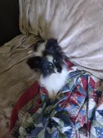 processed/70337db9-2b77-423d-8140-d79c1c7f38da/facility/e48c497f-baac-4b27-8aeb-471023f08f1c