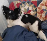 processed/70337db9-2b77-423d-8140-d79c1c7f38da/facility/f1a1646b-5b90-4ab5-86dc-4bf5bd947f12