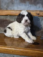 processed/7033d817-b1c3-404e-b0ee-821d867da6a7/listing/278c91bb-5e43-4006-8a63-bf7a8714c9a9/298ab3e3-4630-4803-9da0-be8e814f2450