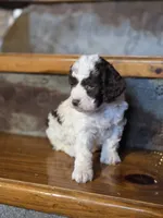 processed/7033d817-b1c3-404e-b0ee-821d867da6a7/listing/278c91bb-5e43-4006-8a63-bf7a8714c9a9/4ecf31bf-fe5a-4036-90eb-faad7468df9e