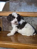 processed/7033d817-b1c3-404e-b0ee-821d867da6a7/listing/278c91bb-5e43-4006-8a63-bf7a8714c9a9/712386e6-282d-4cca-ad62-1635c71eafa7