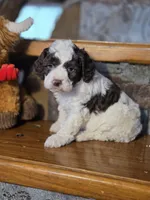 processed/7033d817-b1c3-404e-b0ee-821d867da6a7/listing/278c91bb-5e43-4006-8a63-bf7a8714c9a9/b1e80c4c-c654-45ad-9c62-4c2414049053