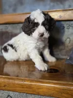 processed/7033d817-b1c3-404e-b0ee-821d867da6a7/listing/278c91bb-5e43-4006-8a63-bf7a8714c9a9/cb06ef07-2bae-4a6b-8bca-da101174058b