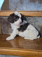 processed/7033d817-b1c3-404e-b0ee-821d867da6a7/listing/278c91bb-5e43-4006-8a63-bf7a8714c9a9/d4069aa9-9b82-48a6-8e9f-ad9ef9d9b424