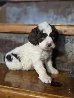 processed/7033d817-b1c3-404e-b0ee-821d867da6a7/listing/278c91bb-5e43-4006-8a63-bf7a8714c9a9/e9be81f8-1ad0-40da-a714-b72524fdcc5c