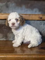 processed/7033d817-b1c3-404e-b0ee-821d867da6a7/listing/27c206b2-c865-4fb2-b31b-8dc8d7194030/84c01bc5-bab0-4743-9f2d-06451abb7bde