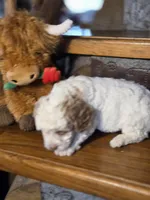 processed/7033d817-b1c3-404e-b0ee-821d867da6a7/listing/27c206b2-c865-4fb2-b31b-8dc8d7194030/86c91d47-ee40-4a68-b879-6e17e623b90e