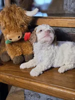 processed/7033d817-b1c3-404e-b0ee-821d867da6a7/listing/27c206b2-c865-4fb2-b31b-8dc8d7194030/9bd2c21d-bae8-44b3-9617-aa111be066fa