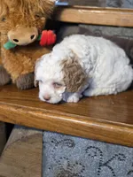 processed/7033d817-b1c3-404e-b0ee-821d867da6a7/listing/27c206b2-c865-4fb2-b31b-8dc8d7194030/c2e01342-65bb-4582-9403-0a296e1a8f87