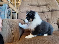 processed/7033d817-b1c3-404e-b0ee-821d867da6a7/listing/8eee5d14-9536-4fca-8fbd-60d7482c50c5/0df3438c-8ff0-4ed9-bc7c-68e8e5a89030