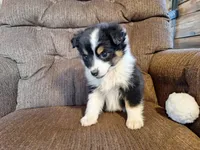 processed/7033d817-b1c3-404e-b0ee-821d867da6a7/listing/8eee5d14-9536-4fca-8fbd-60d7482c50c5/13e4d177-38c6-4119-8ab6-685b4e24b881