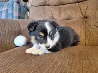 processed/7033d817-b1c3-404e-b0ee-821d867da6a7/listing/8eee5d14-9536-4fca-8fbd-60d7482c50c5/35236855-9527-4ae0-b46a-f2327f4ed636