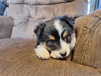 processed/7033d817-b1c3-404e-b0ee-821d867da6a7/listing/8eee5d14-9536-4fca-8fbd-60d7482c50c5/a28ed1a6-5cd0-4f1c-9699-6efa876d657b