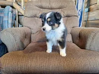 processed/7033d817-b1c3-404e-b0ee-821d867da6a7/listing/8eee5d14-9536-4fca-8fbd-60d7482c50c5/dd033b41-66f6-4509-9735-06e643daa39e