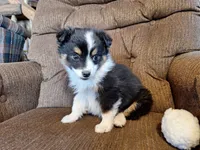 processed/7033d817-b1c3-404e-b0ee-821d867da6a7/listing/8eee5d14-9536-4fca-8fbd-60d7482c50c5/ef46c782-a10a-461c-8510-8090958f4b9a