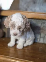 processed/7033d817-b1c3-404e-b0ee-821d867da6a7/listing/a0566cff-b97b-498b-abff-3224e52a7c70/3f64048a-c434-4f44-8637-a676ceb9789d