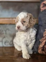 processed/7033d817-b1c3-404e-b0ee-821d867da6a7/listing/a0566cff-b97b-498b-abff-3224e52a7c70/69370e17-1c1b-44be-b9d0-a3a5be305447