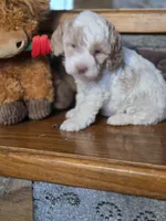 processed/7033d817-b1c3-404e-b0ee-821d867da6a7/listing/a0566cff-b97b-498b-abff-3224e52a7c70/8dfd43d6-c086-4d6f-bfe6-9a96f8f2154c