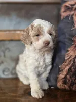 processed/7033d817-b1c3-404e-b0ee-821d867da6a7/listing/a0566cff-b97b-498b-abff-3224e52a7c70/9112b4db-1f8d-4564-b707-1803808968cb