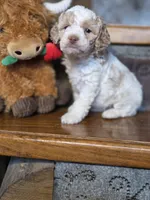 processed/7033d817-b1c3-404e-b0ee-821d867da6a7/listing/a0566cff-b97b-498b-abff-3224e52a7c70/c4f7fbde-b488-4cdf-a06b-cd0a96b45598